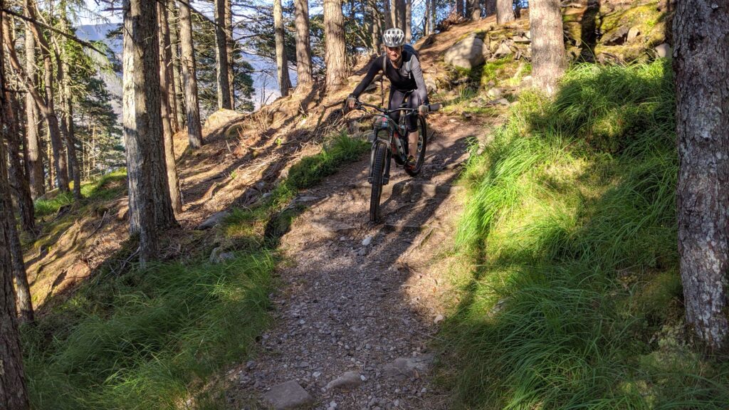 Forest below Beinn Damh